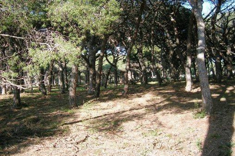 Location de vacances - Appartement à Hyères