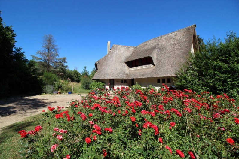 Location de vacances - Chambre d'hôtes à La Geneytouse