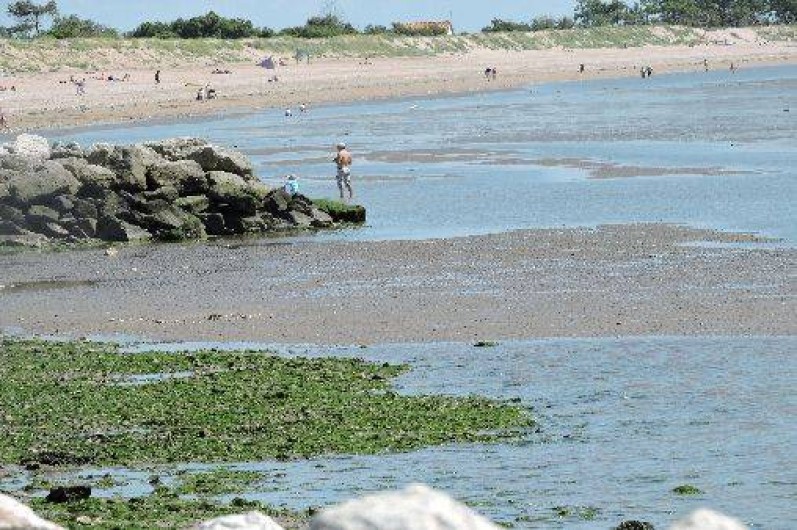 Location de vacances - Appartement à Aytré