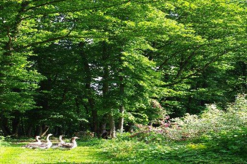 Location de vacances - Gîte à Saint-Julien-du-Sault