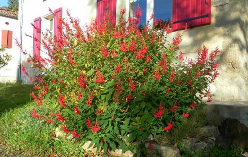 Location de vacances - Gîte à Castres