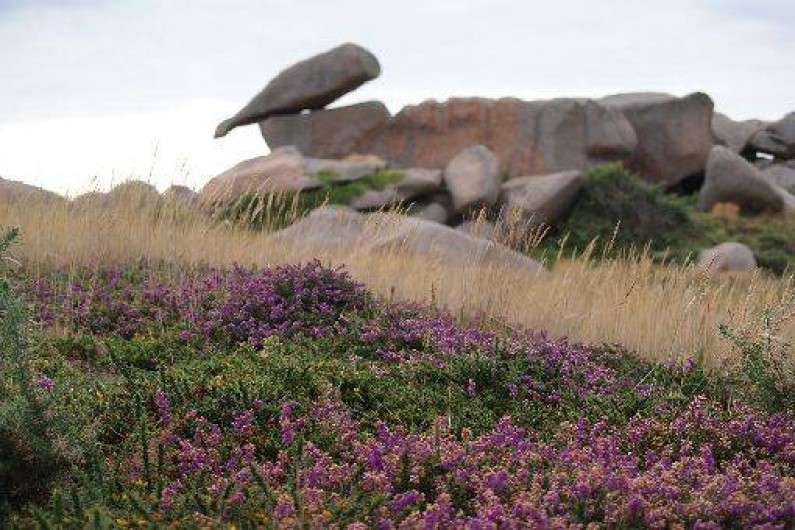 Location de vacances - Maison - Villa à Pommerit-Jaudy