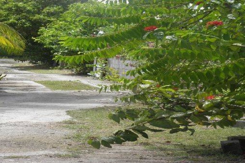 Location de vacances - Appartement à Le Moule