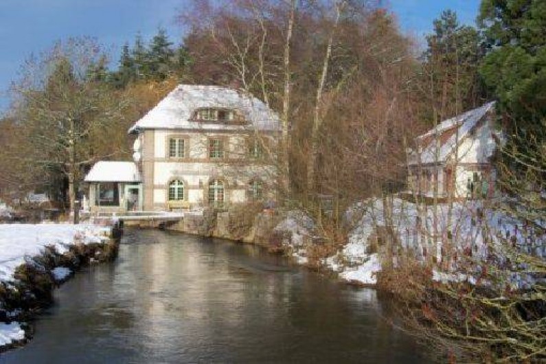 Location de vacances - Chambre d'hôtes à Longueil