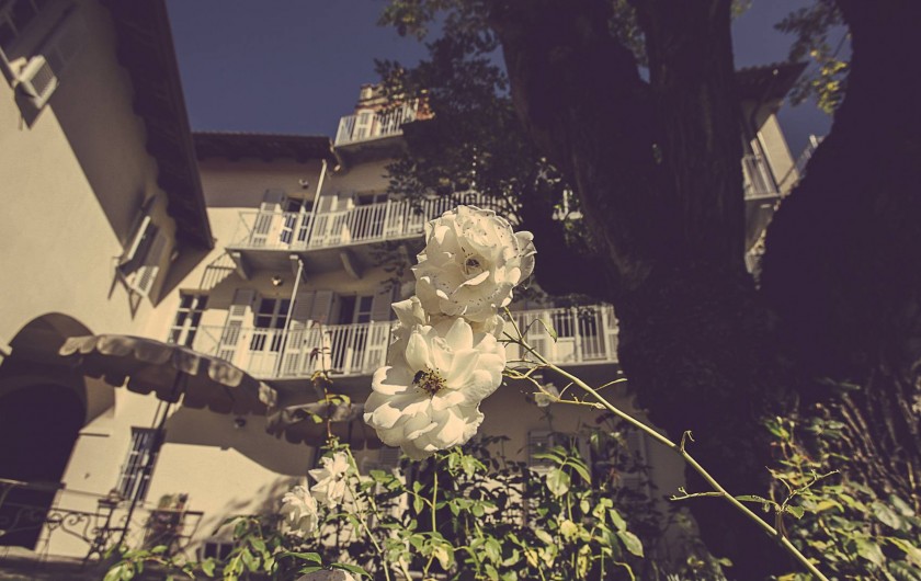 Location de vacances - Chambre d'hôtes à Govone - Facade jardin