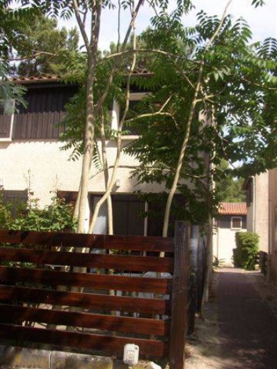 Location de vacances - Maison - Villa à Lacanau Océan