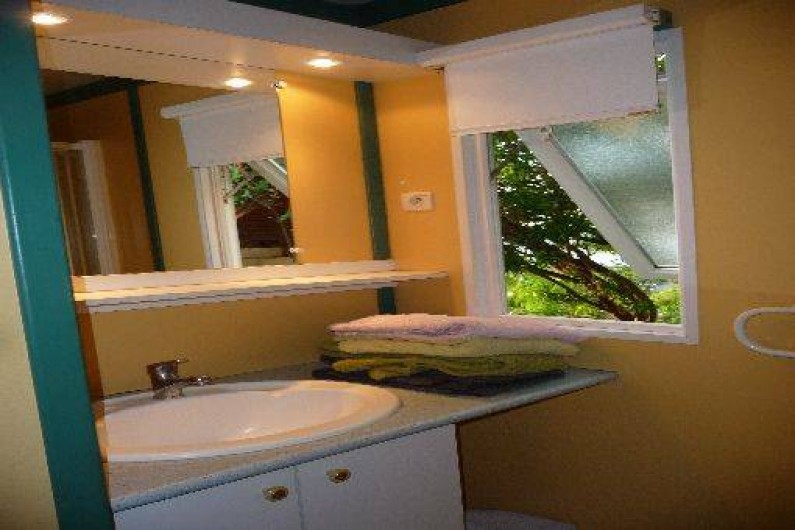 Location de vacances - Chalet à Saint-Leu - salle de bain vue jardin