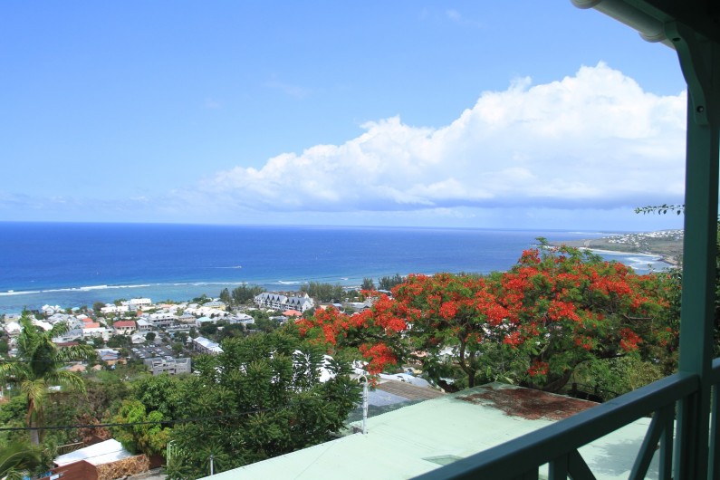 Location de vacances - Chalet à Saint-Leu - flamboyant et vue sur st leu