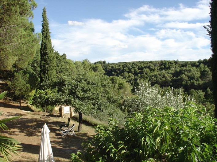 Location de vacances - Mas à Piégon - Vue d' extérieur