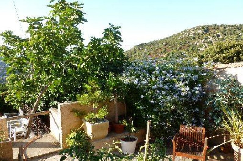 Location de vacances - Villa à Santa-Reparata-Di-Balagna