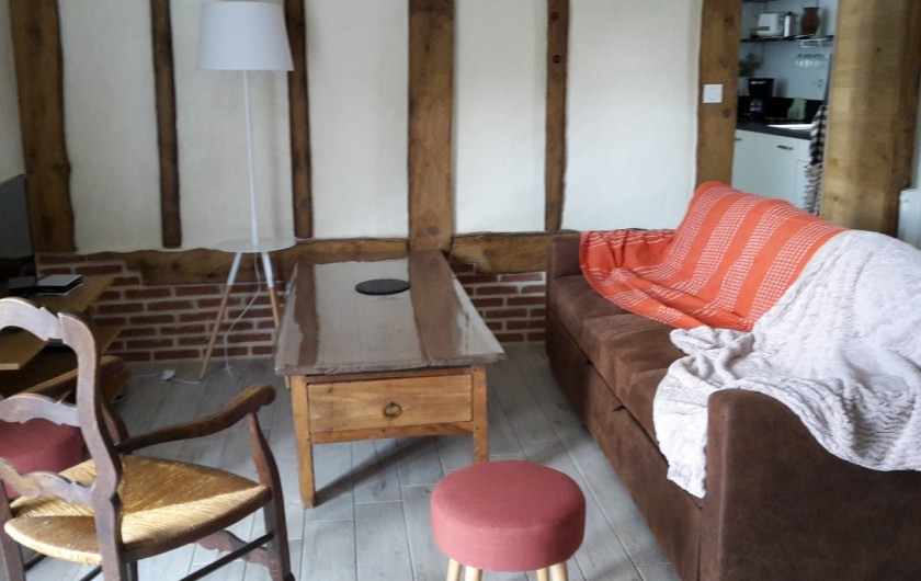 Location de vacances - Gîte à Bosville - pièce de vie avec TV, poêle pellet, accès wifi