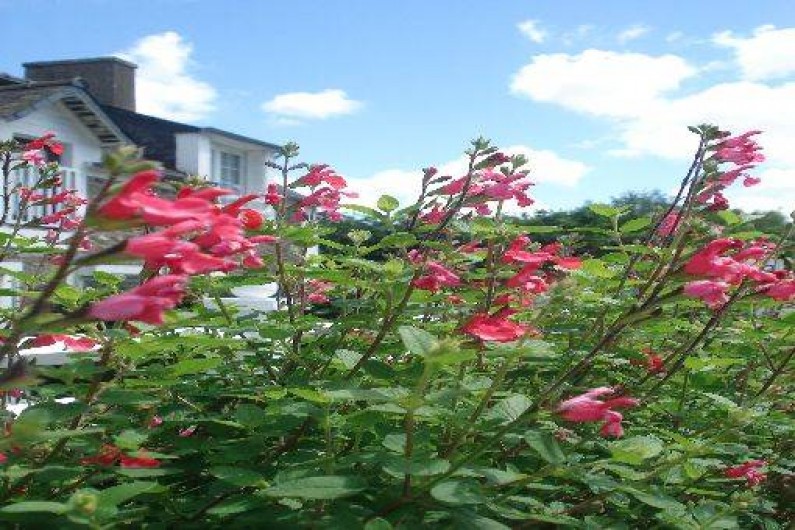 Location de vacances - Gîte à Saint-Jouan-des-Guérets