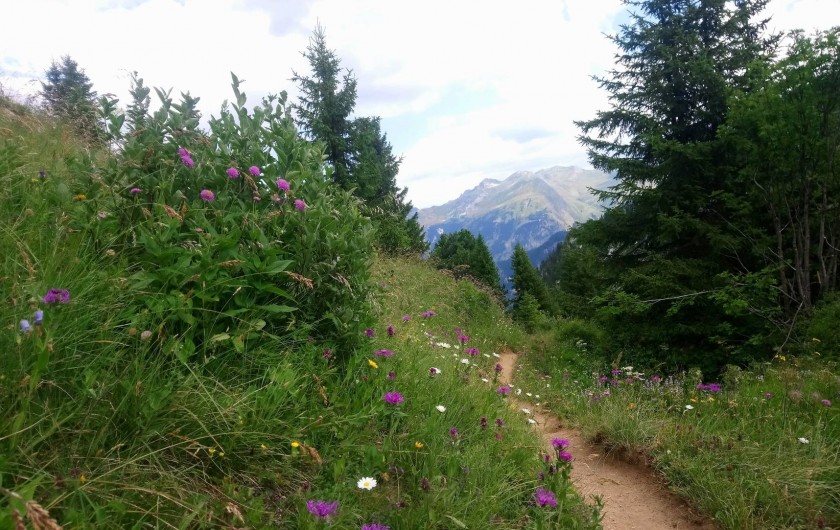 Location de vacances - Gîte à Pralognan-la-Vanoise