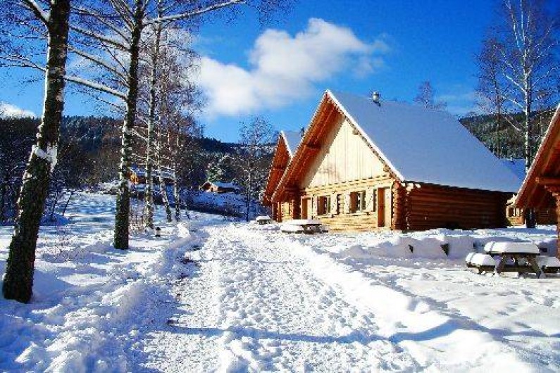 Location de vacances - Chalet à Orbey