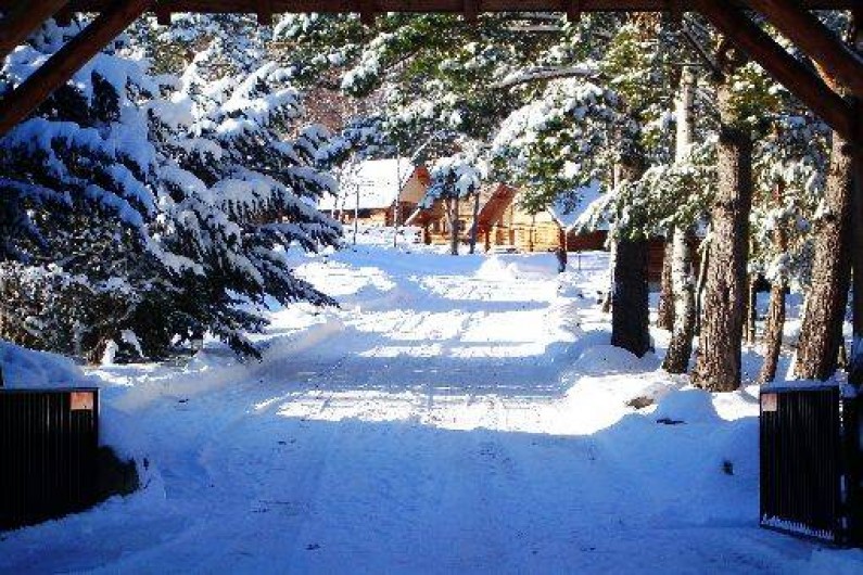 Location de vacances - Chalet à Orbey