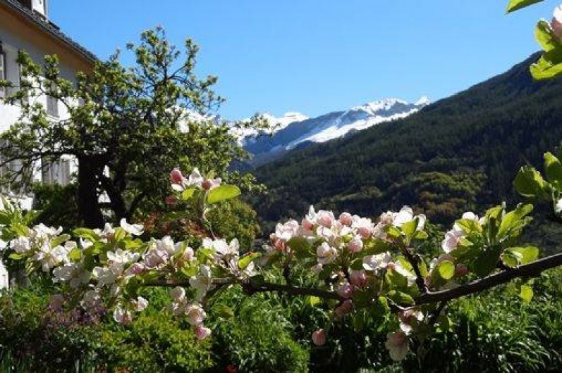 Location de vacances - Gîte à Colmars - La ferme des Transhumances au printemps