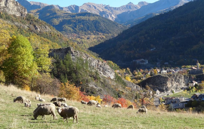 Location de vacances - Gîte à Colmars - Les Transhumances-automne