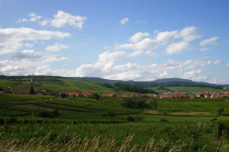 Location de vacances - Gîte à Blienschwiller
