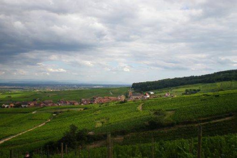Location de vacances - Gîte à Blienschwiller