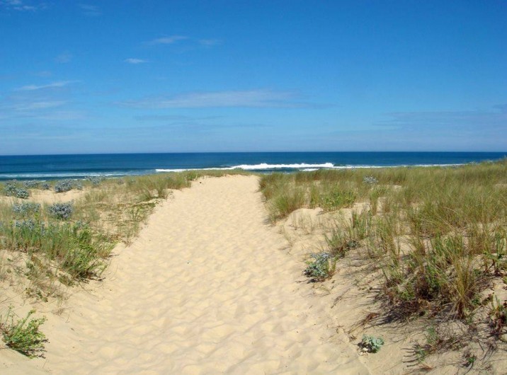 Location de vacances - Villa à Mimizan - plage Mimizan