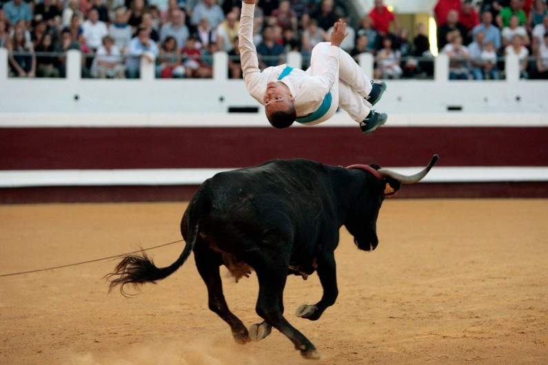 Location de vacances - Villa à Mimizan - les célèbres courses landaises