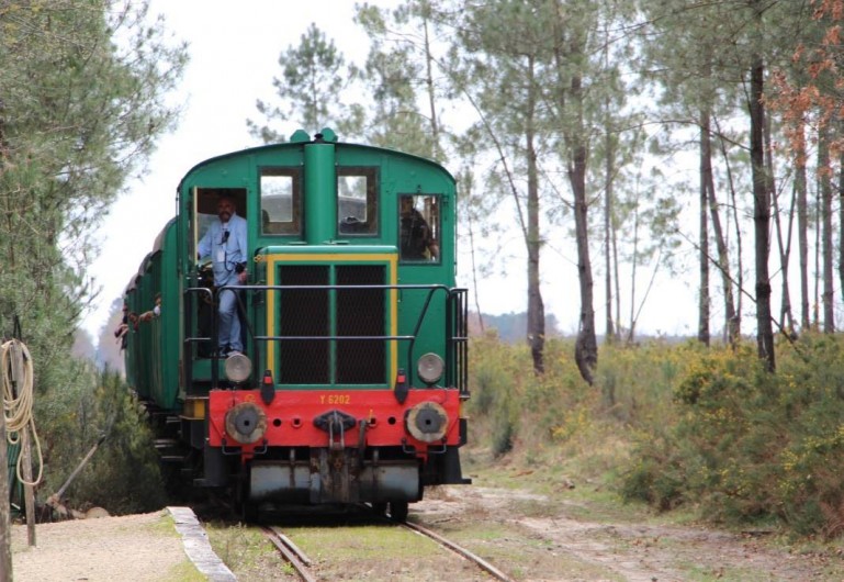 Location de vacances - Villa à Mimizan - partez visiter l'écomusée de marquèze avec le petit train de la haute lande