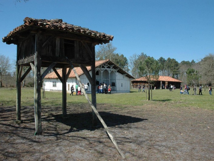 Location de vacances - Villa à Mimizan - airial de l'écomusée de  Marquèze