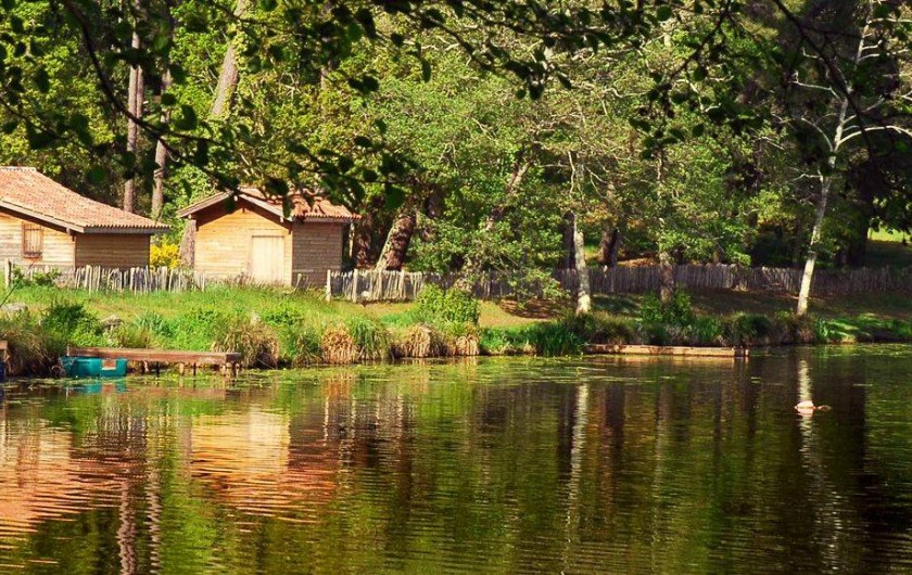 Location de vacances - Villa à Mimizan - le lac de Mimizan