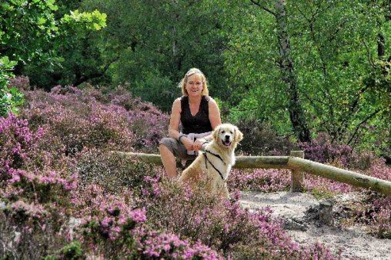 Location de vacances - Chambre d'hôtes à Fère-en-Tardenois
