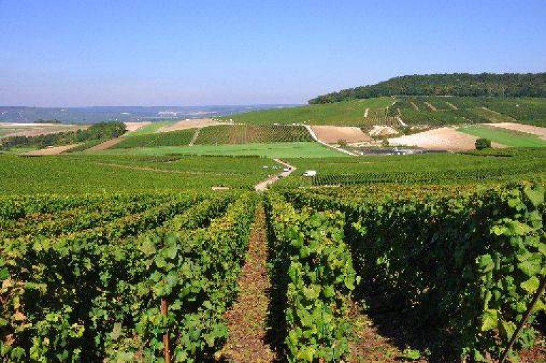 Location de vacances - Chambre d'hôtes à Fère-en-Tardenois