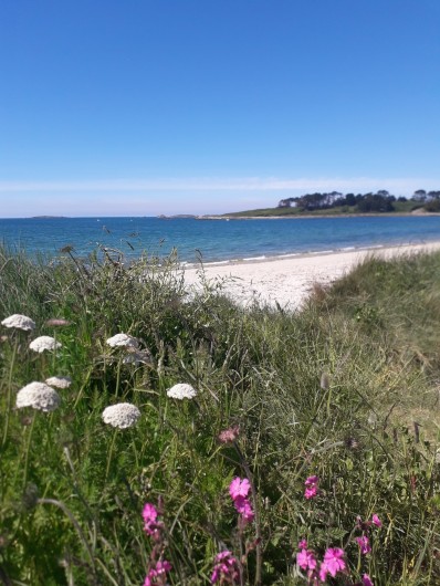Location de vacances - Villa à Landéda