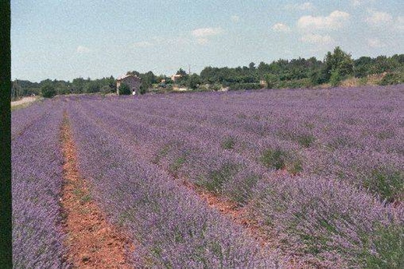 Location de vacances - Appartement à Rustrel