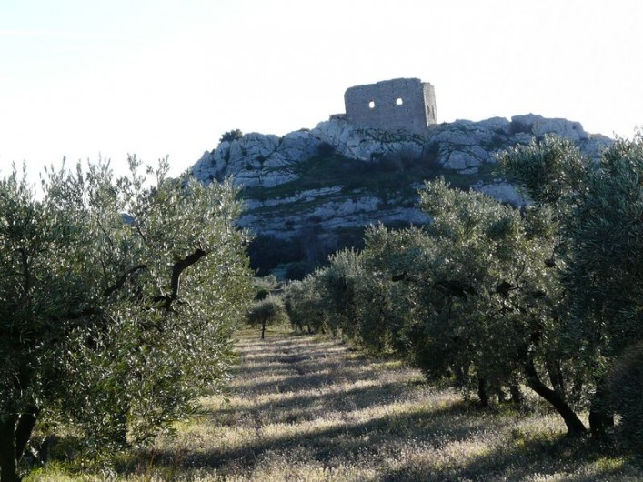 Location de vacances - Villa à Aureille - Aureille