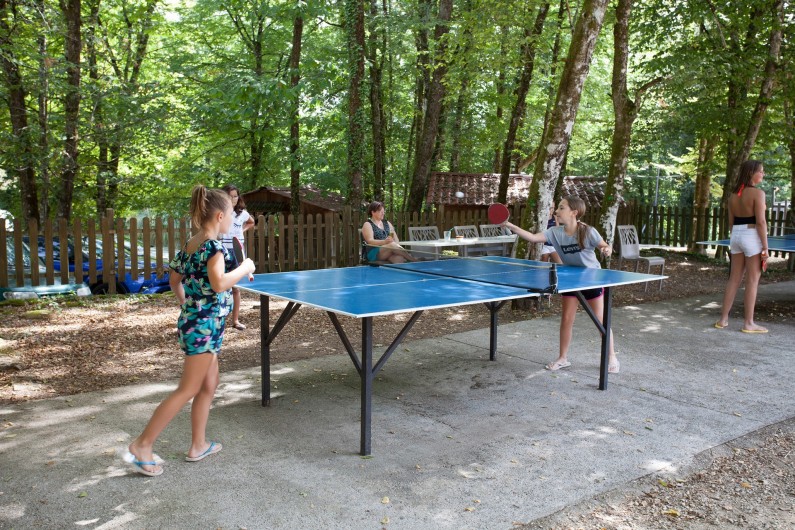 Location de vacances - Gîte à Calviac-en-Périgord