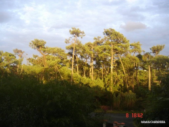 Location de vacances - Appartement à Anglet