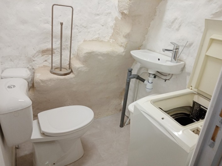 Location de vacances - Appartement à Songeson - wc avec lave main et machine à laver