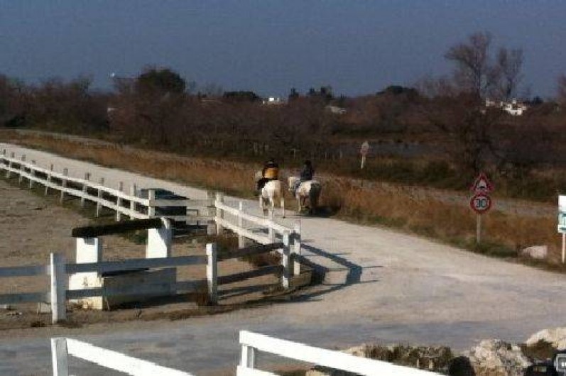 Location de vacances - Appartement à Saintes-Maries-de-la-Mer