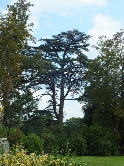 Location de vacances - Château - Manoir à Capian