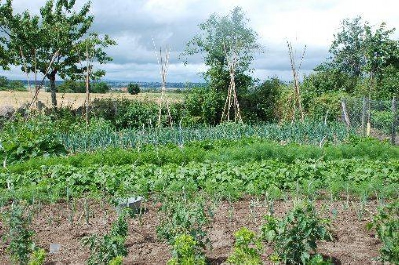 Location de vacances - Chambre d'hôtes à Beaune-d'Allier