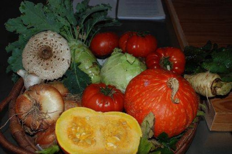 Location de vacances - Chambre d'hôtes à Beaune-d'Allier