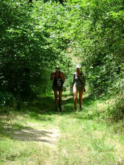 Location de vacances - Chambre d'hôtes à Beaune-d'Allier