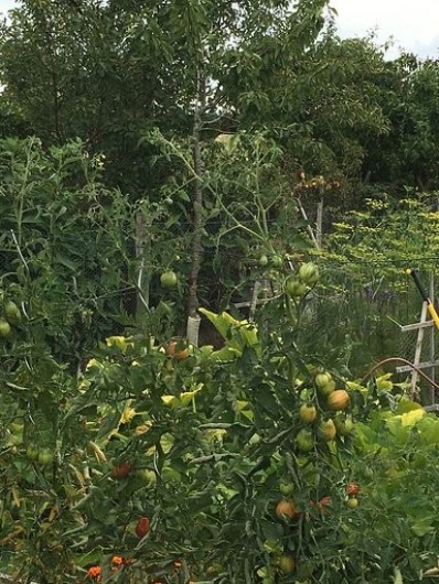 Location de vacances - Chambre d'hôtes à Beaune-d'Allier