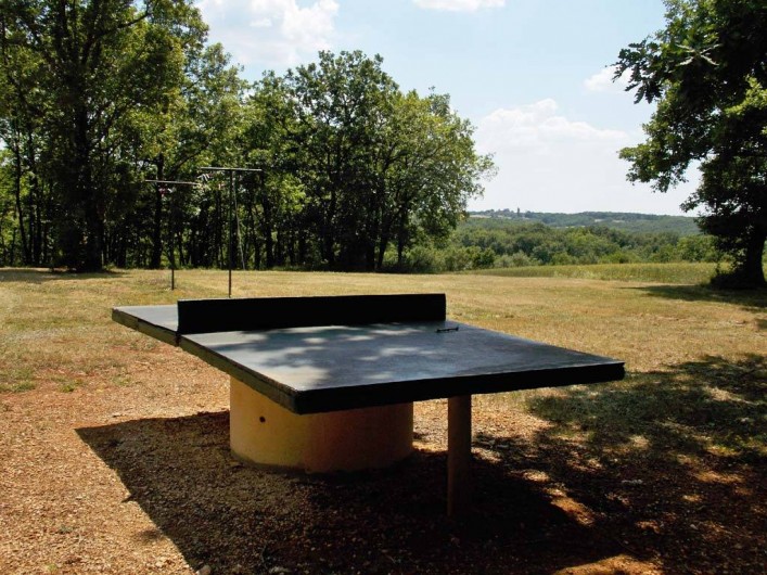 Location de vacances - Gîte à Salignac-Eyvigues