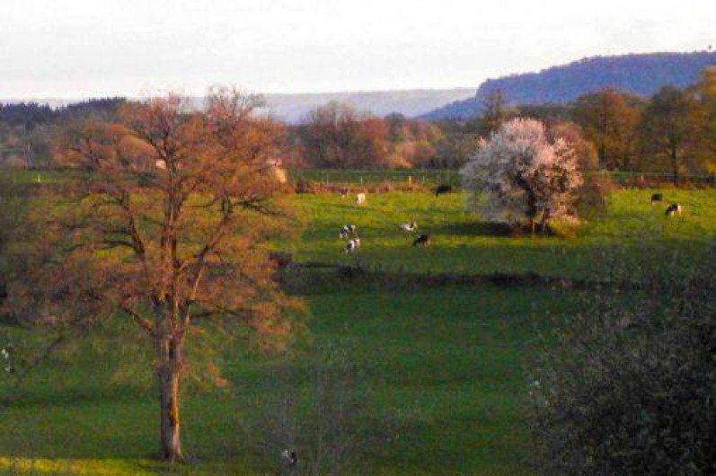 Location de vacances - Gîte à Cros