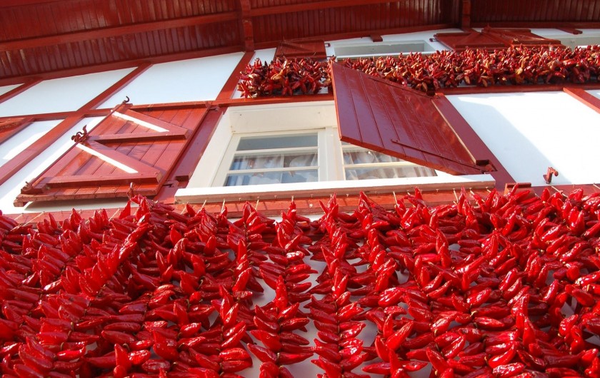 Location de vacances - Studio à Anglet