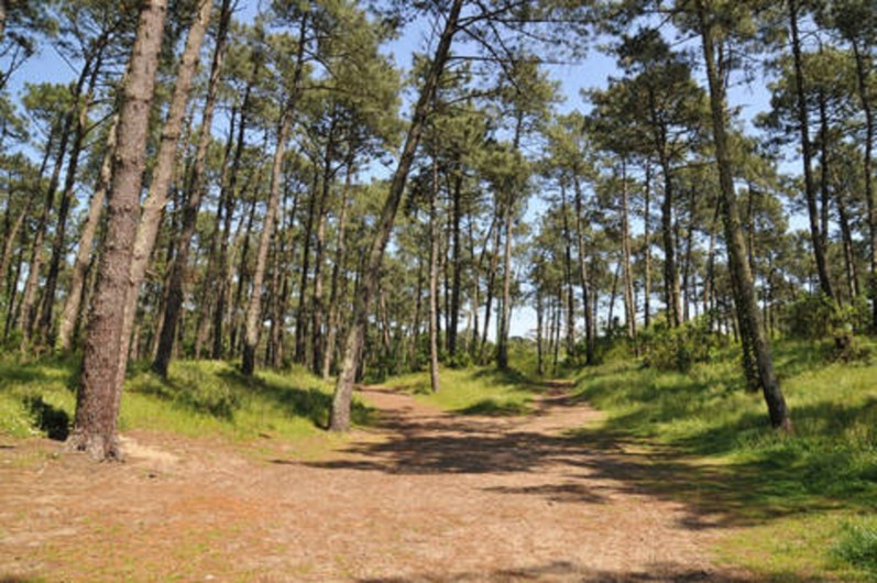 Location de vacances - Studio à Anglet