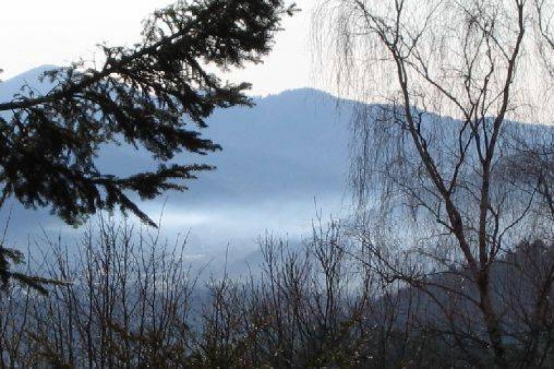 Location de vacances - Appartement à Fellering