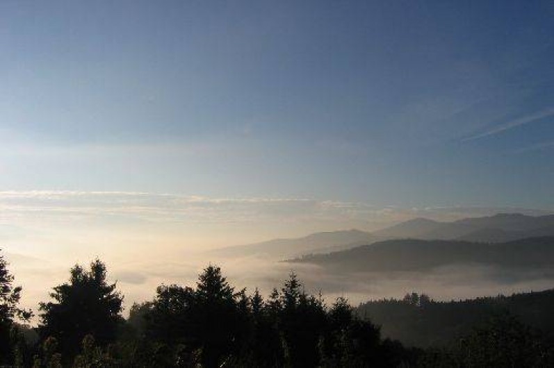 Location de vacances - Appartement à Fellering