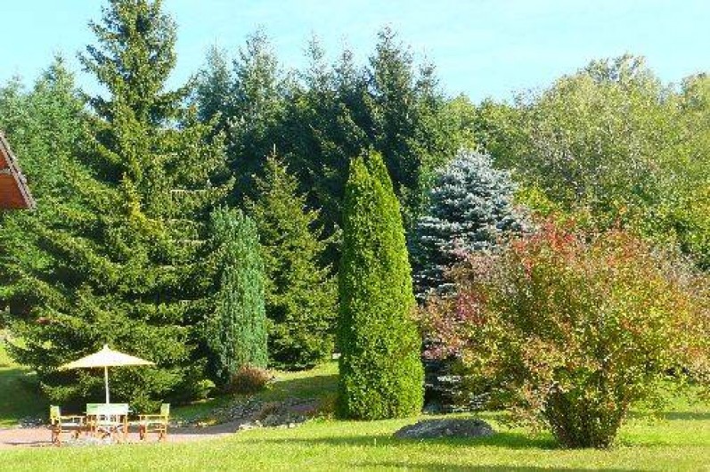 Location de vacances - Appartement à Fellering