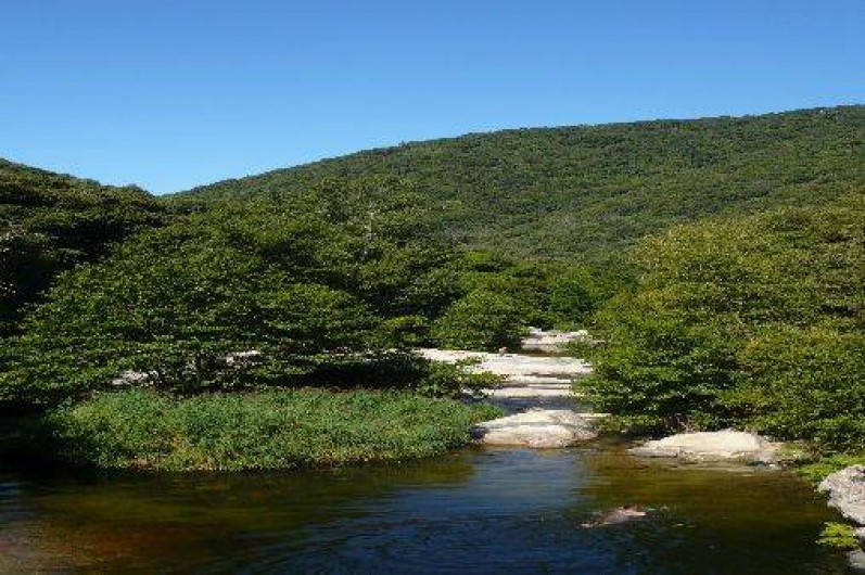 Location de vacances - Villa à Olmeto